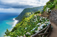 açores_-_©font83_-_gettyimagespro_-_canva_blogpost_item_panorama.png