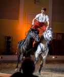 LE MANEGE DE TILLY