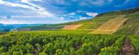 GROTTES D'ARCY ET CHABLIS