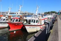 Nausicaa & Le Port de Boulogne sur Mer